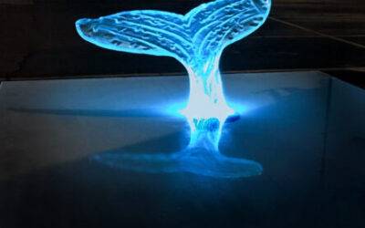 Whale Tail Glass Table by Downing Designs.