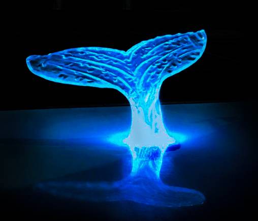 glass Whale Tail iluminated