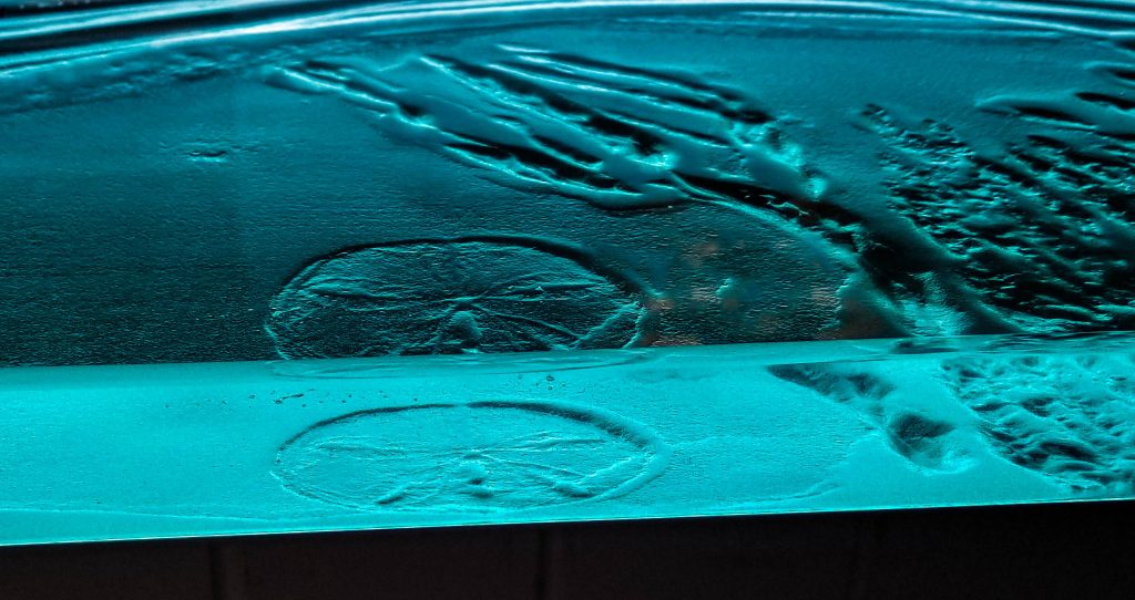 Kiln-formed glass bar top lens-polished edge showing light refraction — private island Caribbean installation by Downing Designs