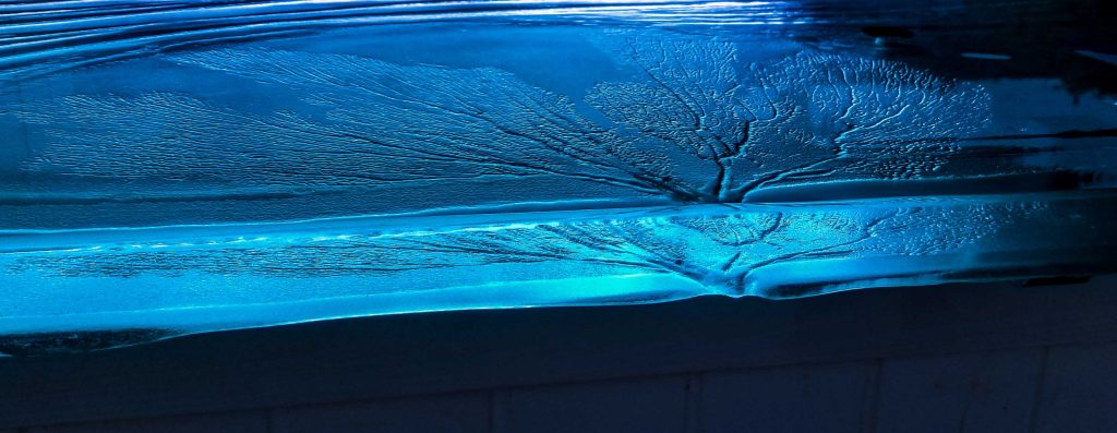 Sea fan texture detail in kiln-formed glass bar top — private island Caribbean — The Shape of Water by Downing Designs