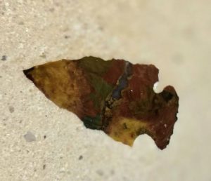 Pre-colonial arrowhead collected by Richard Gonzmart, embedded in the Ulele Restaurant concrete bar top — Downing Designs Tampa