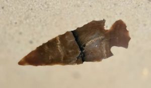 Pre-colonial arrowhead embedded in Ulele Restaurant concrete bar top — Downing Designs Tampa